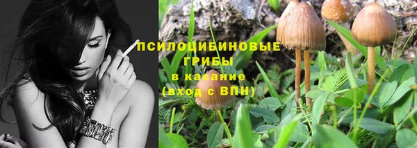гидропоника Горно-Алтайск