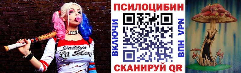 Купить закладки  Красный Холм  Псилоцибиновые грибы GOLDEN TEACHER 